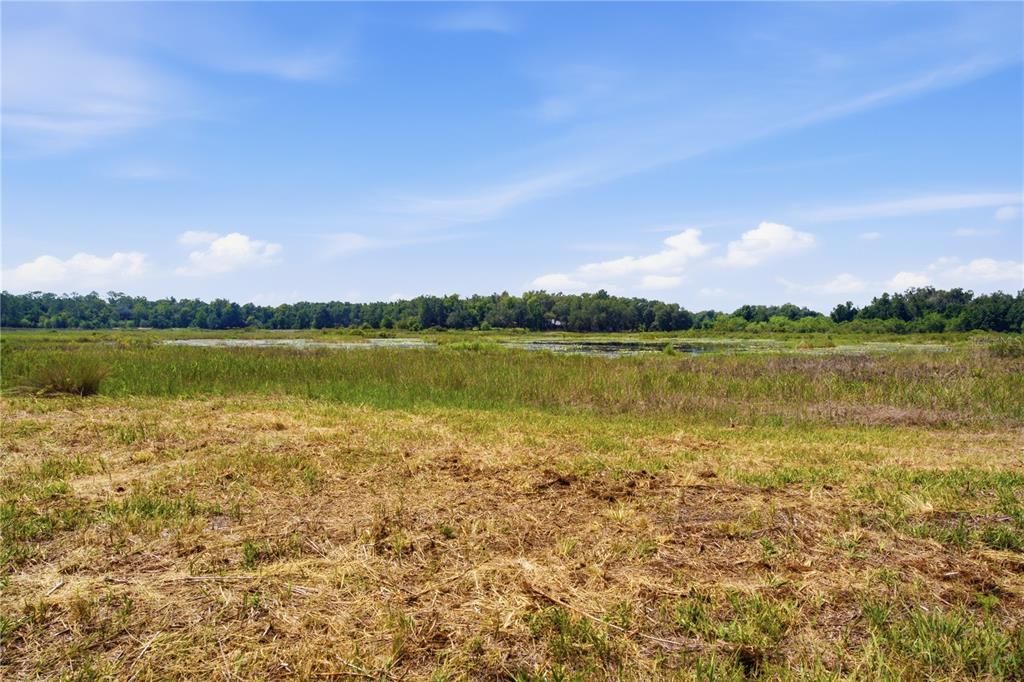 待售: $800,000 (40.00 acres)