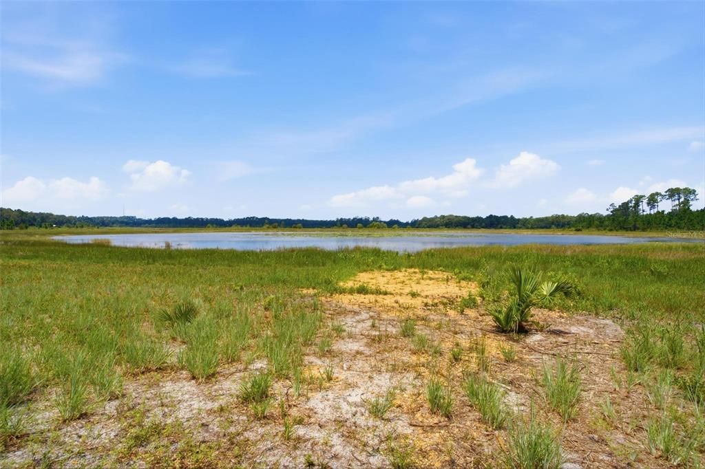 待售: $800,000 (40.00 acres)