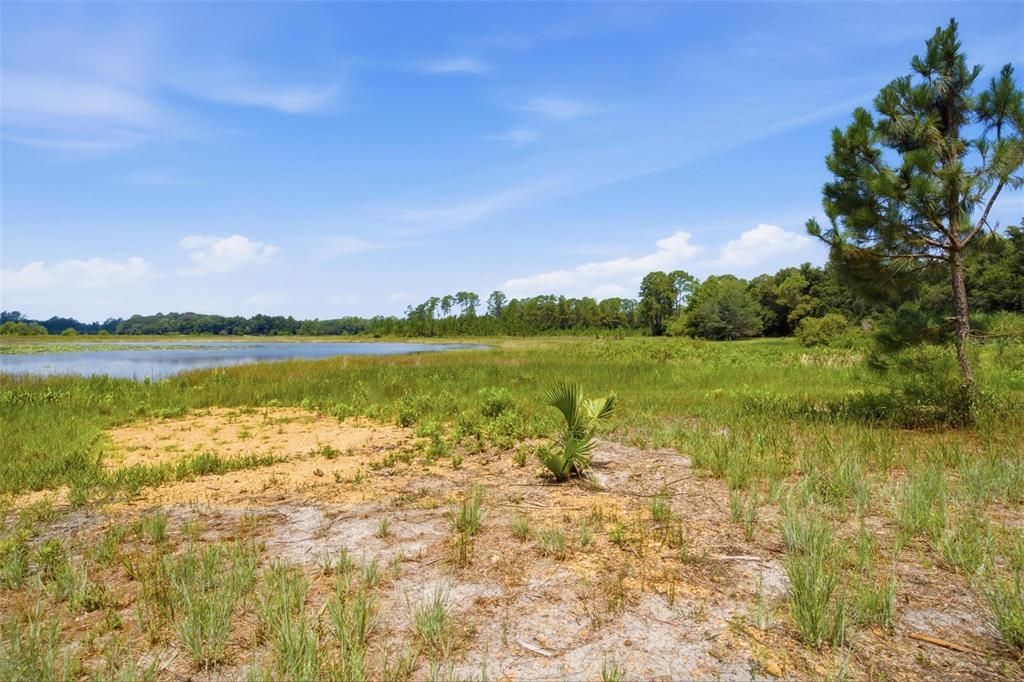 待售: $800,000 (40.00 acres)