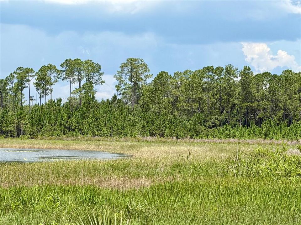 待售: $800,000 (40.00 acres)