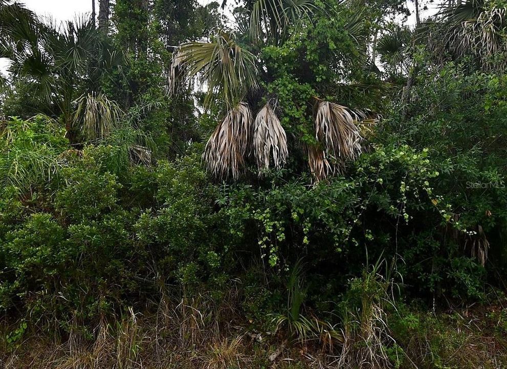 En Venta: $25,000 (0.27 acres)