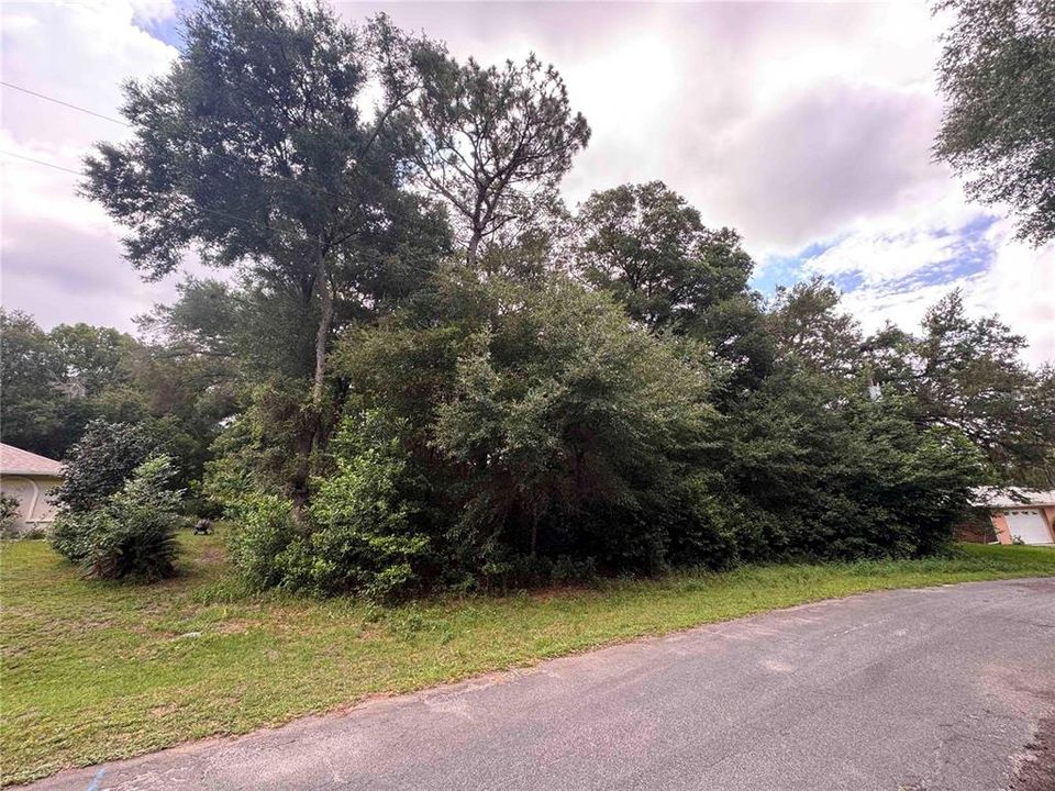 待售: $30,000 (0.34 acres)
