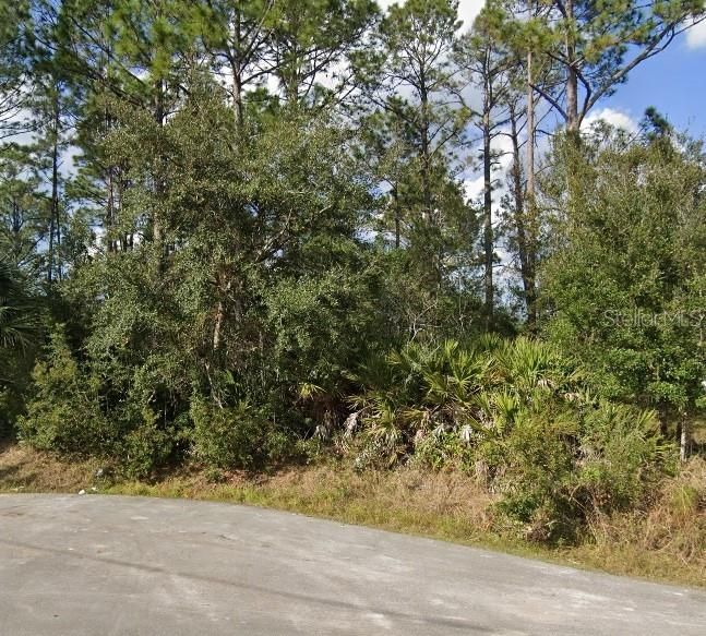 For Sale: $44,000 (0.23 acres)