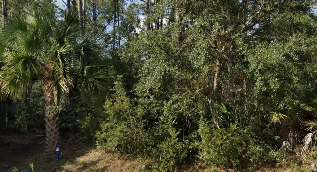 For Sale: $44,000 (0.23 acres)