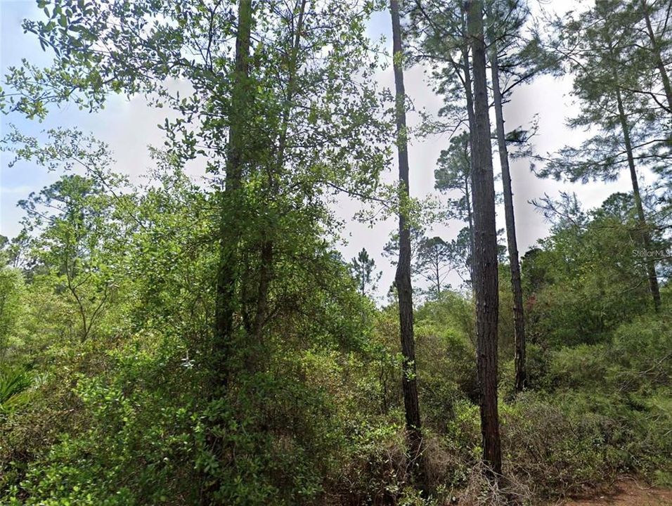 На продажу: $16,900 (0.46 acres)