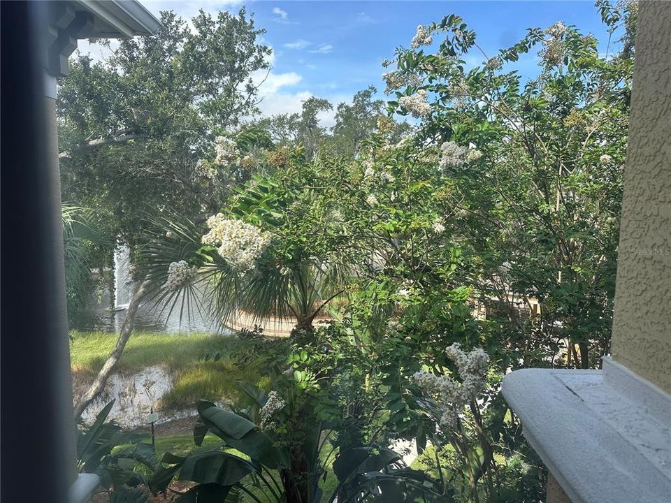 En Renta: $1,395 (1 camas, 1 baños, 769 Pies cuadrados)
