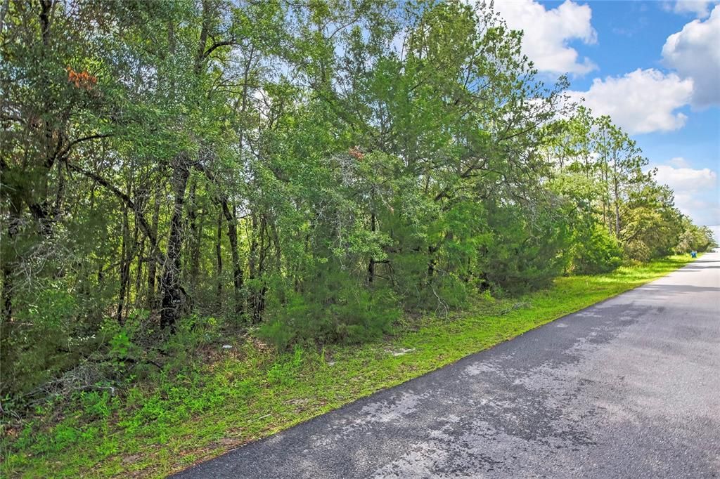 En Venta: $54,900 (0.46 acres)