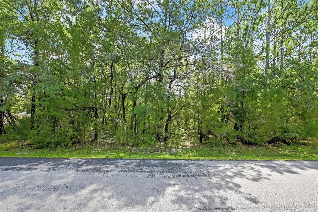 En Venta: $54,900 (0.46 acres)