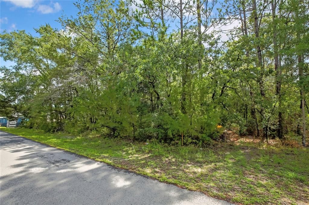 En Venta: $54,900 (0.46 acres)