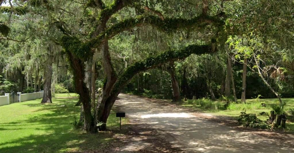 For Sale: $119,000 (0.23 acres)