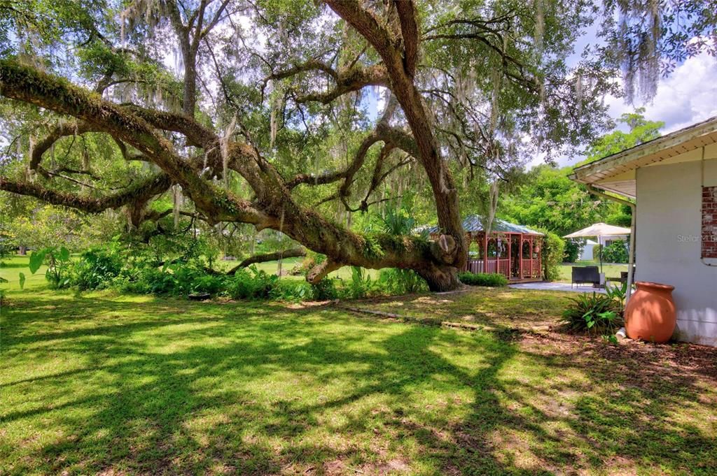 For Sale: $255,000 (3 beds, 2 baths, 1572 Square Feet)