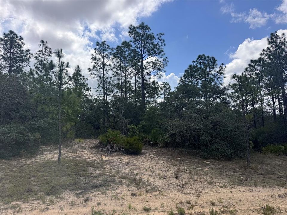 For Sale: $20,000 (0.23 acres)