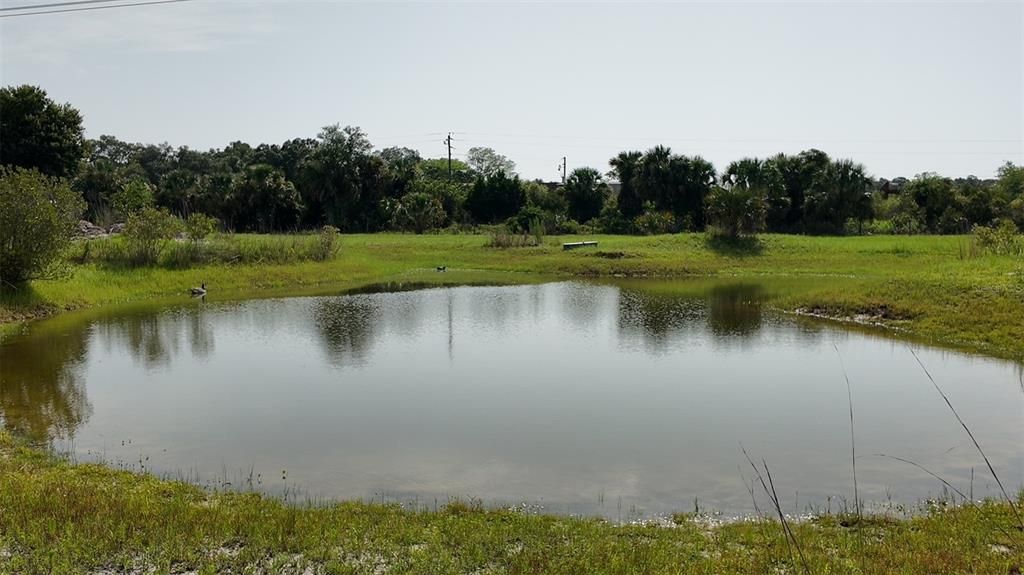 На продажу: $395,000 (10.00 acres)