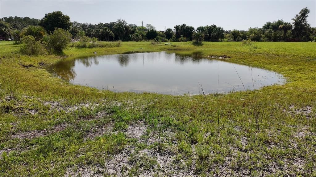 На продажу: $395,000 (10.00 acres)