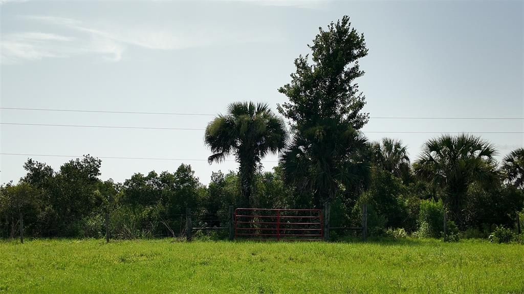 На продажу: $395,000 (10.00 acres)