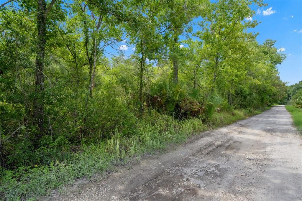На продажу: $40,000 (0.53 acres)