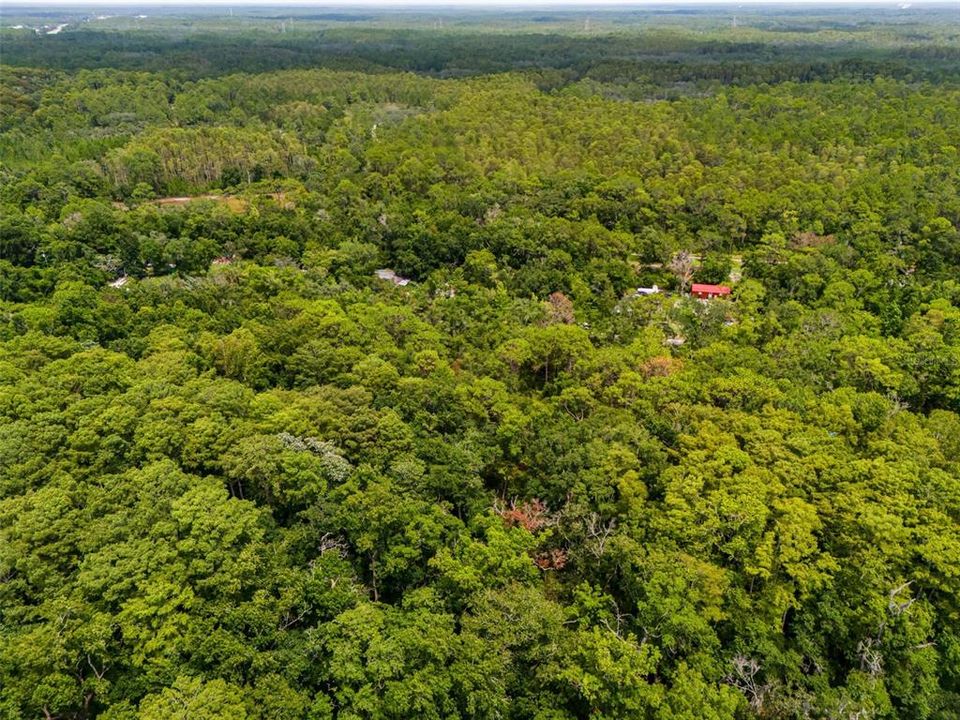 На продажу: $40,000 (0.53 acres)
