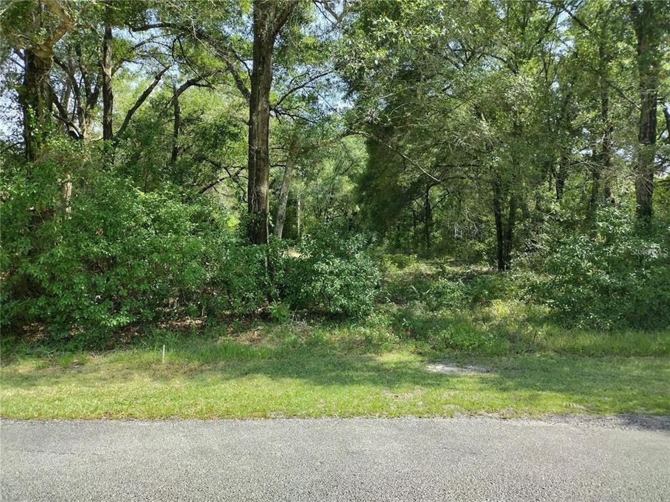 На продажу: $175,000 (0.71 acres)