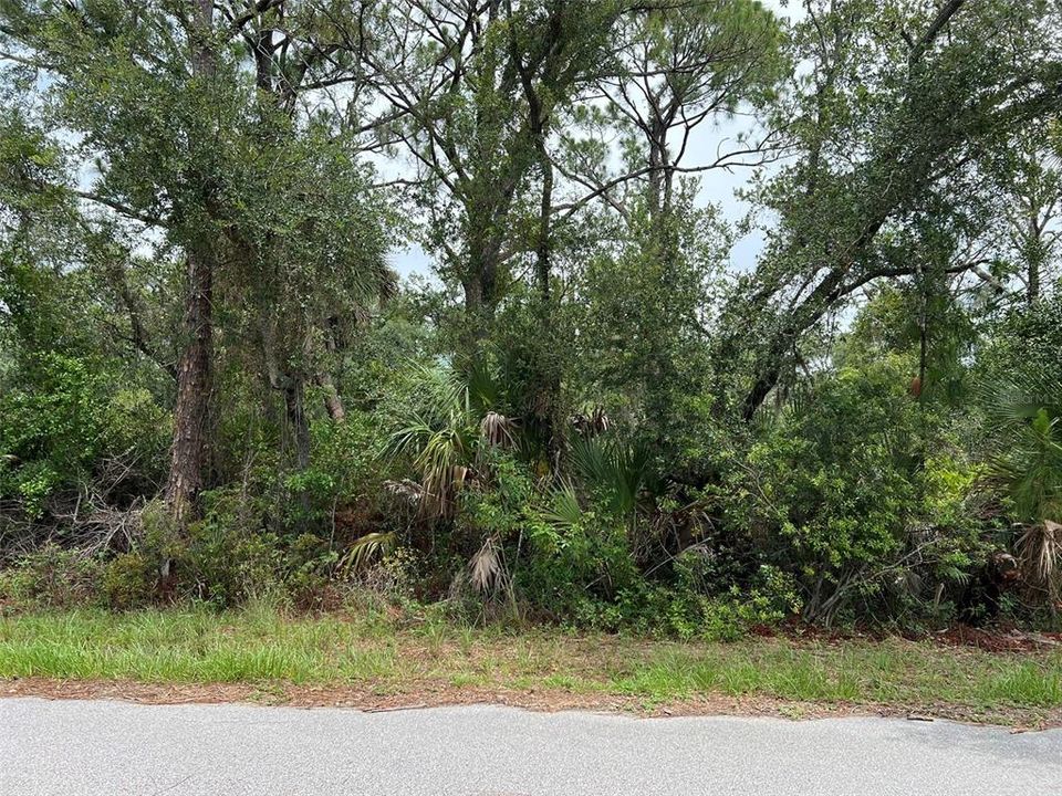En Venta: $28,000 (0.46 acres)
