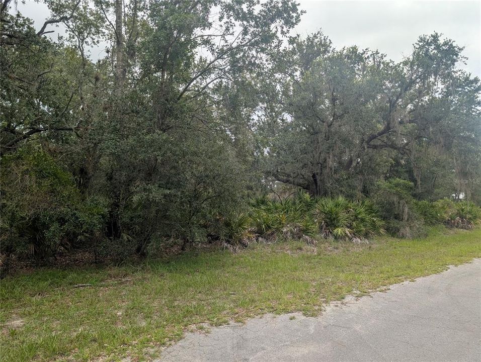 待售: $14,000 (0.50 acres)