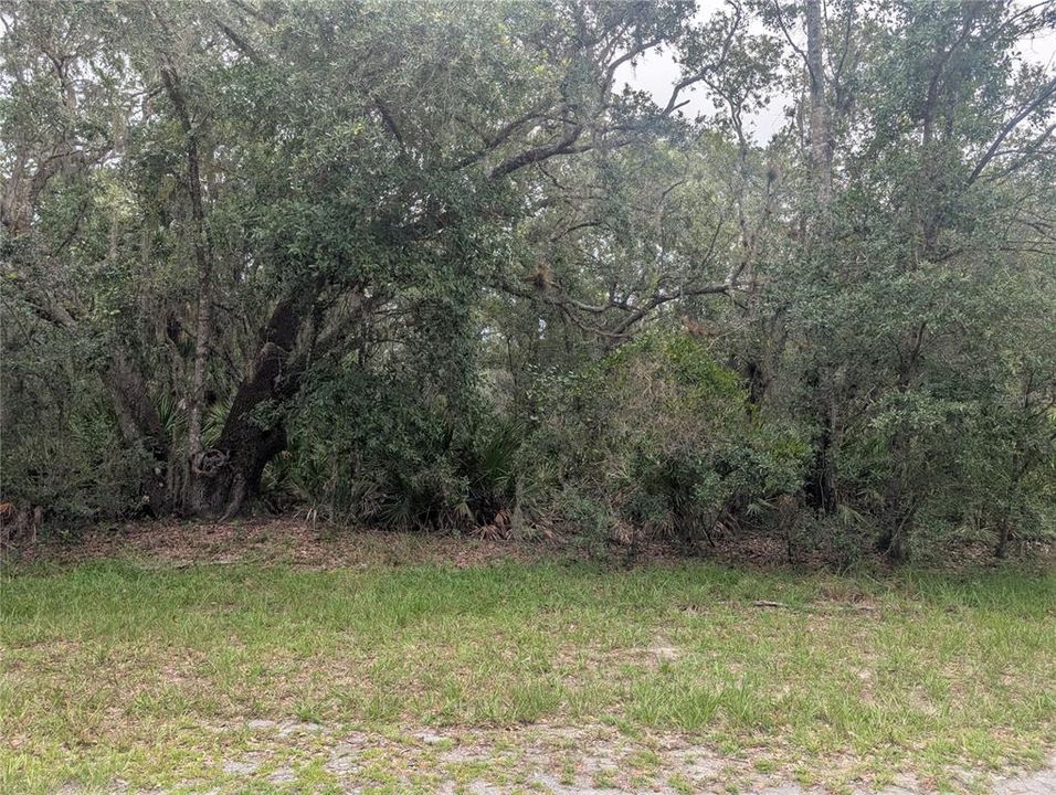 待售: $14,000 (0.50 acres)