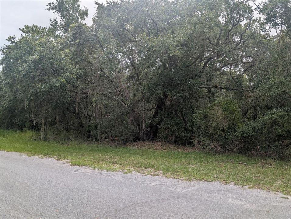 待售: $14,000 (0.50 acres)