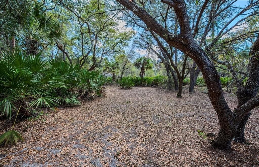На продажу: $20,000 (0.23 acres)