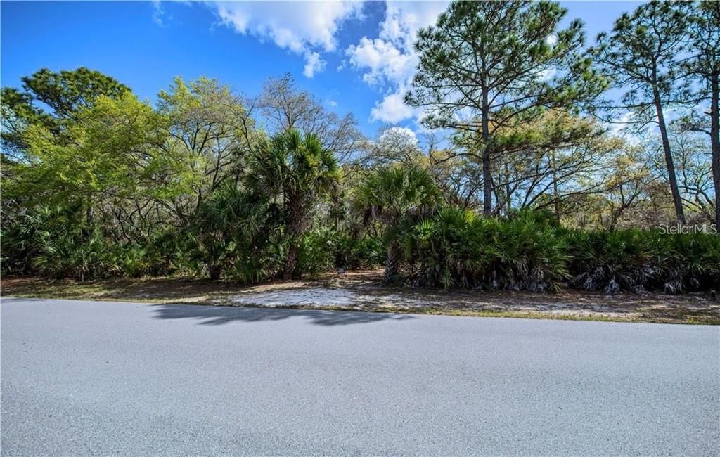 На продажу: $20,000 (0.23 acres)