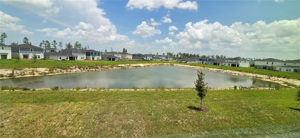 В аренду: $2,950 (5 спален, 3 ванн, 2470 Квадратных фут)
