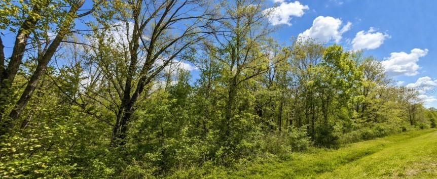 待售: $63,999 (2.28 acres)