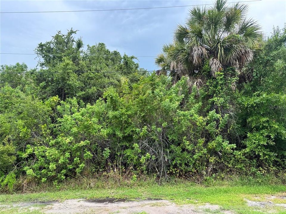 待售: $39,900 (0.23 acres)