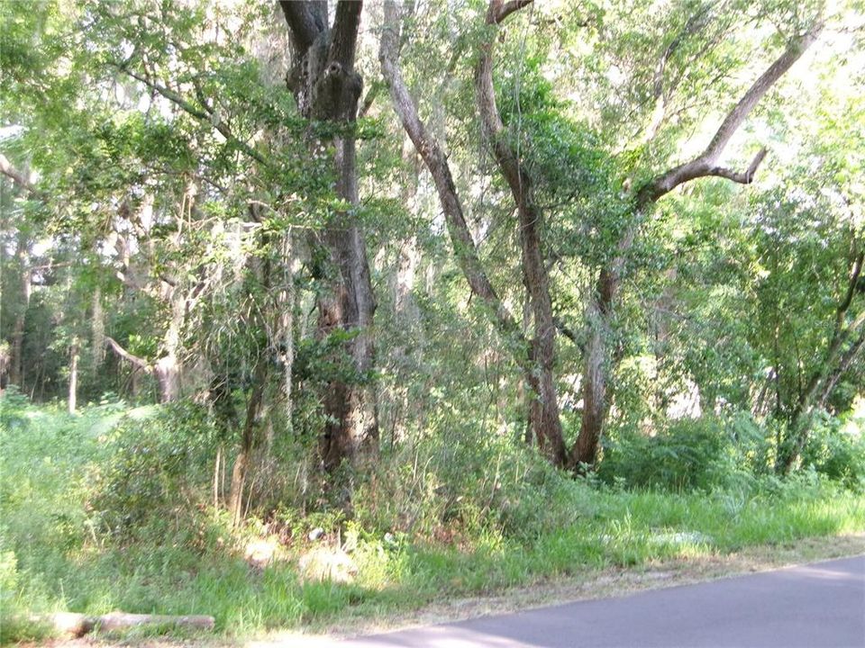 En Venta: $185,000 (1.60 acres)
