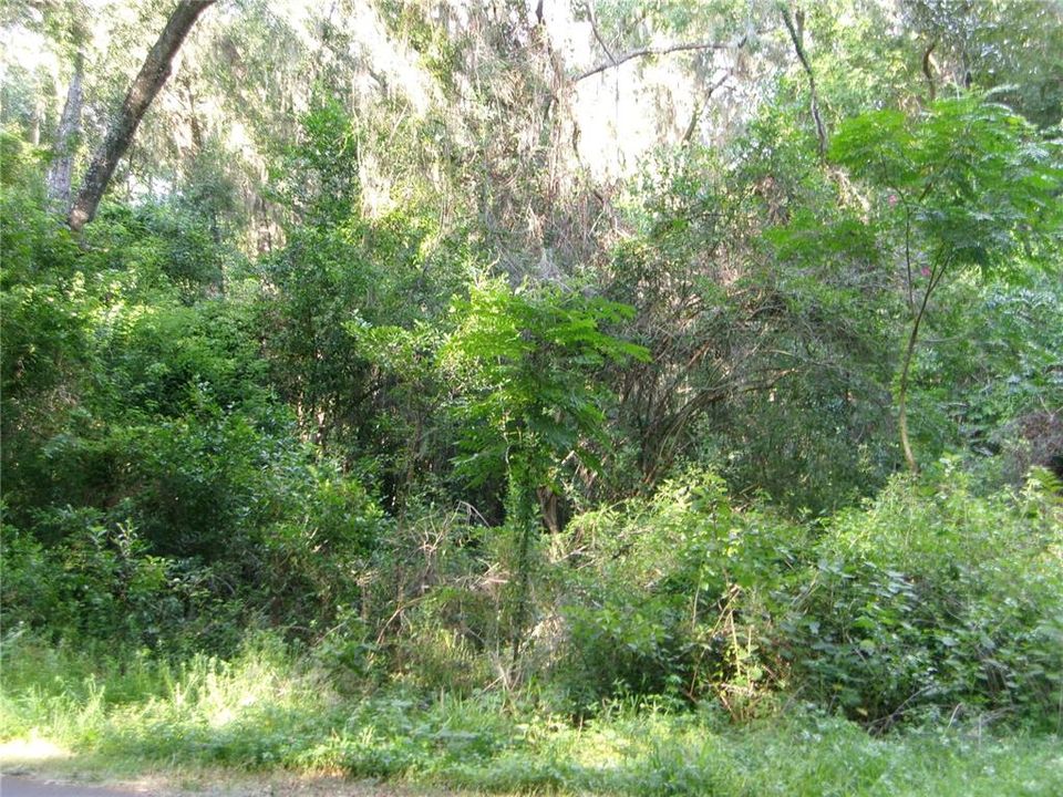 En Venta: $185,000 (1.60 acres)