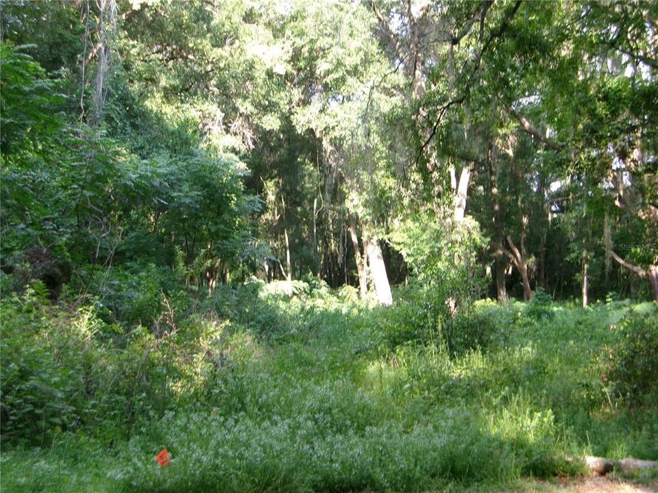 En Venta: $185,000 (1.60 acres)