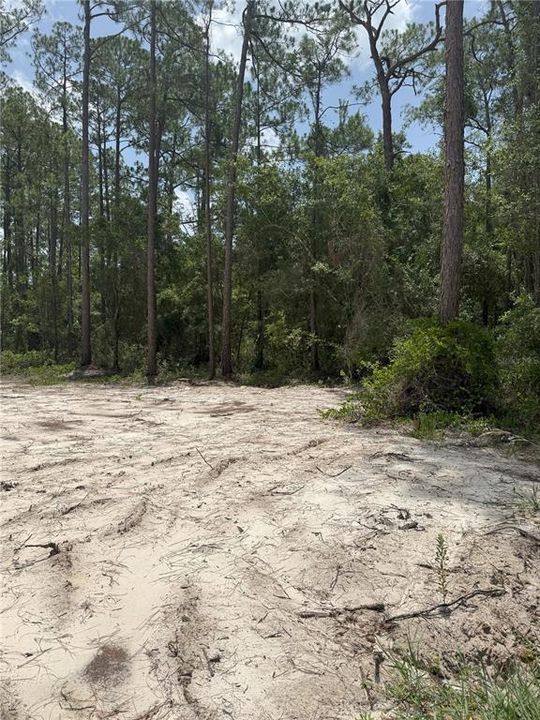 En Venta: $55,000 (1.04 acres)