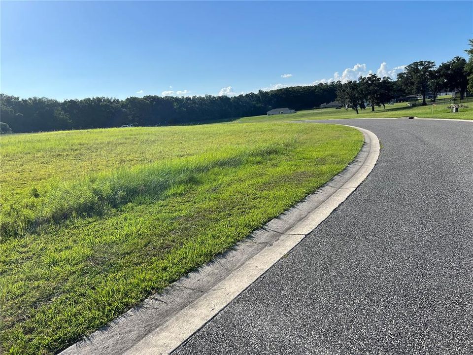 For Sale: $115,000 (0.87 acres)