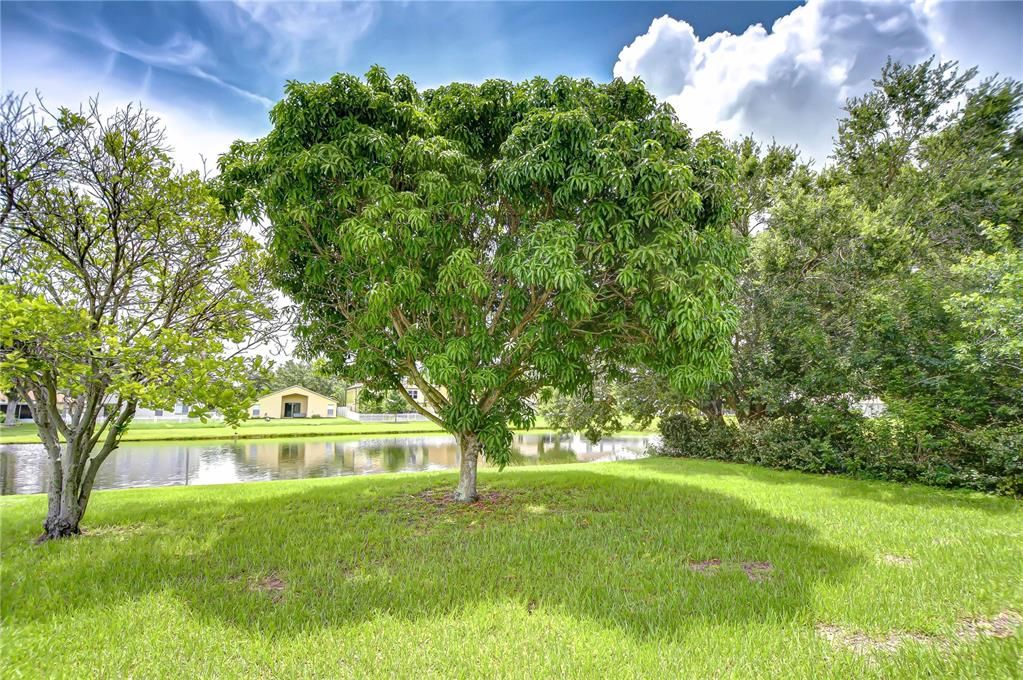 For Sale: $399,000 (5 beds, 2 baths, 2222 Square Feet)