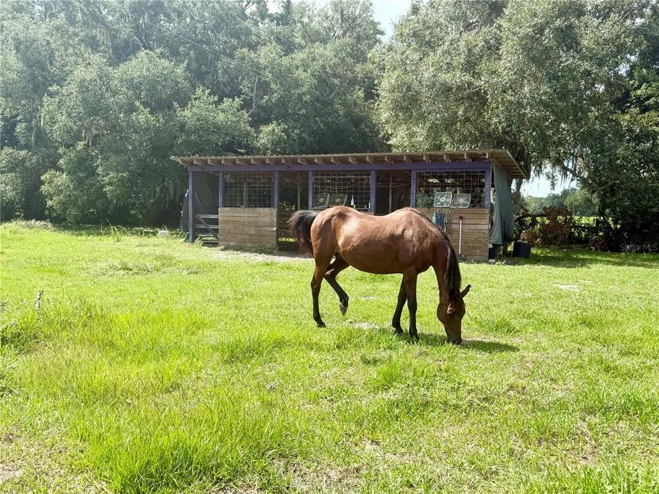 En Venta: $549,000 (3 camas, 2 baños, 1780 Pies cuadrados)