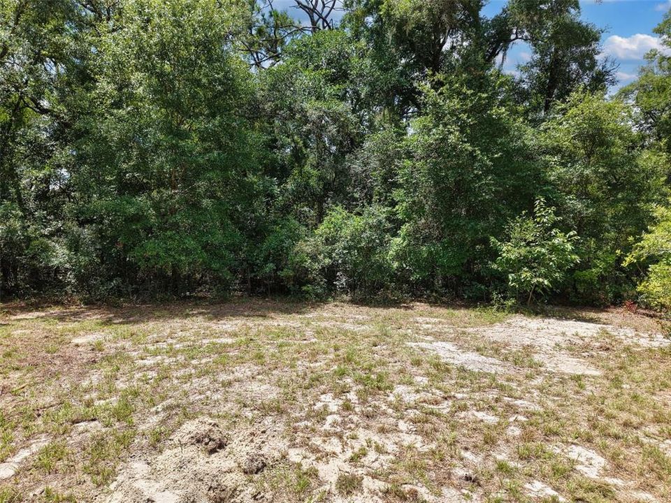 На продажу: $59,900 (1.50 acres)