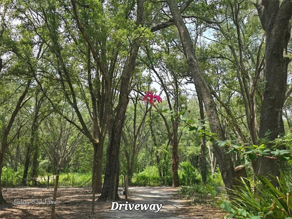 For Sale: $285,000 (3.00 acres)