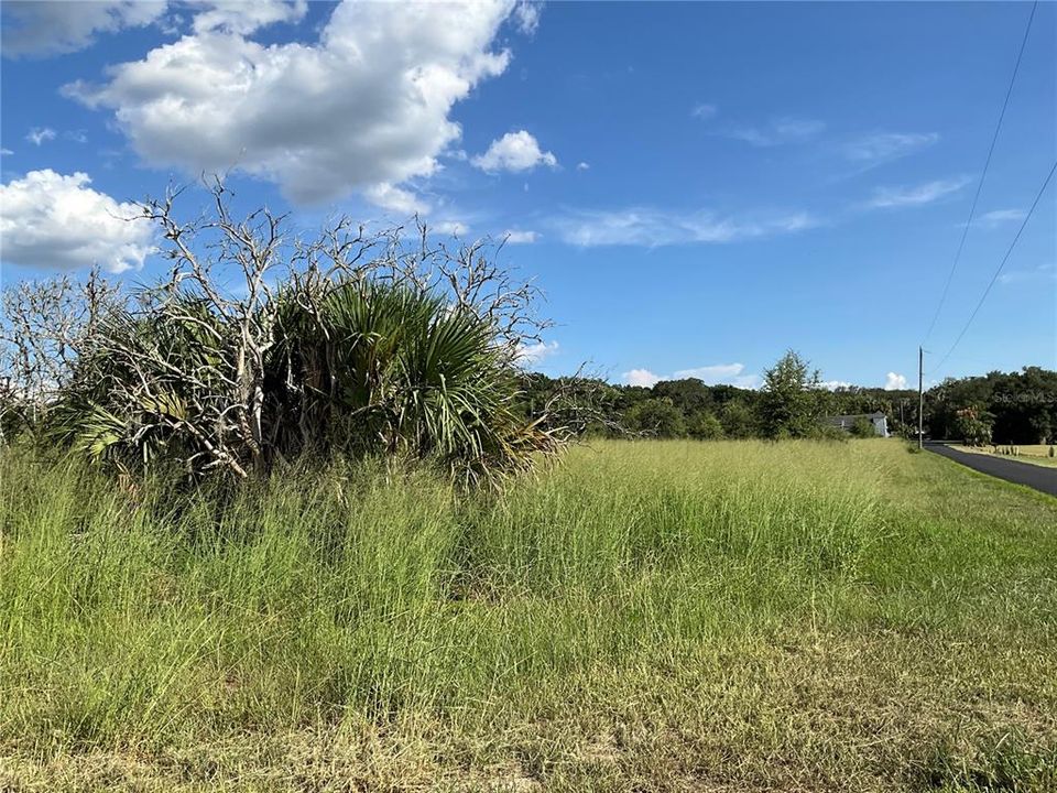For Sale: $434,500 (14.48 acres)