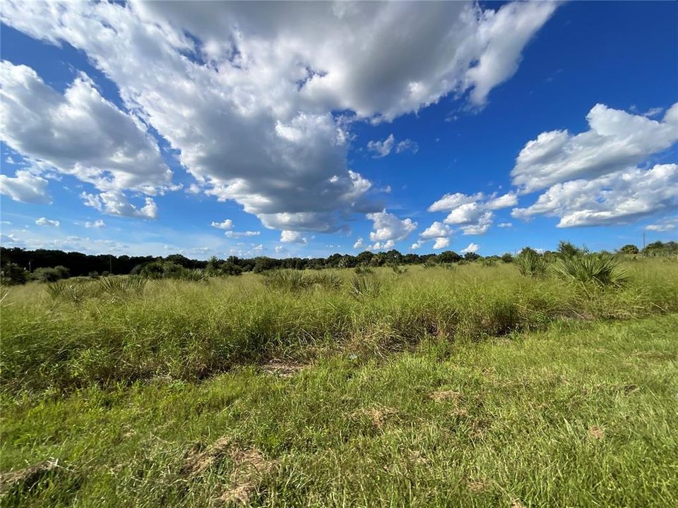 For Sale: $434,500 (14.48 acres)