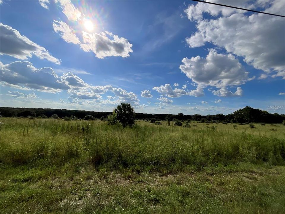 For Sale: $434,500 (14.48 acres)
