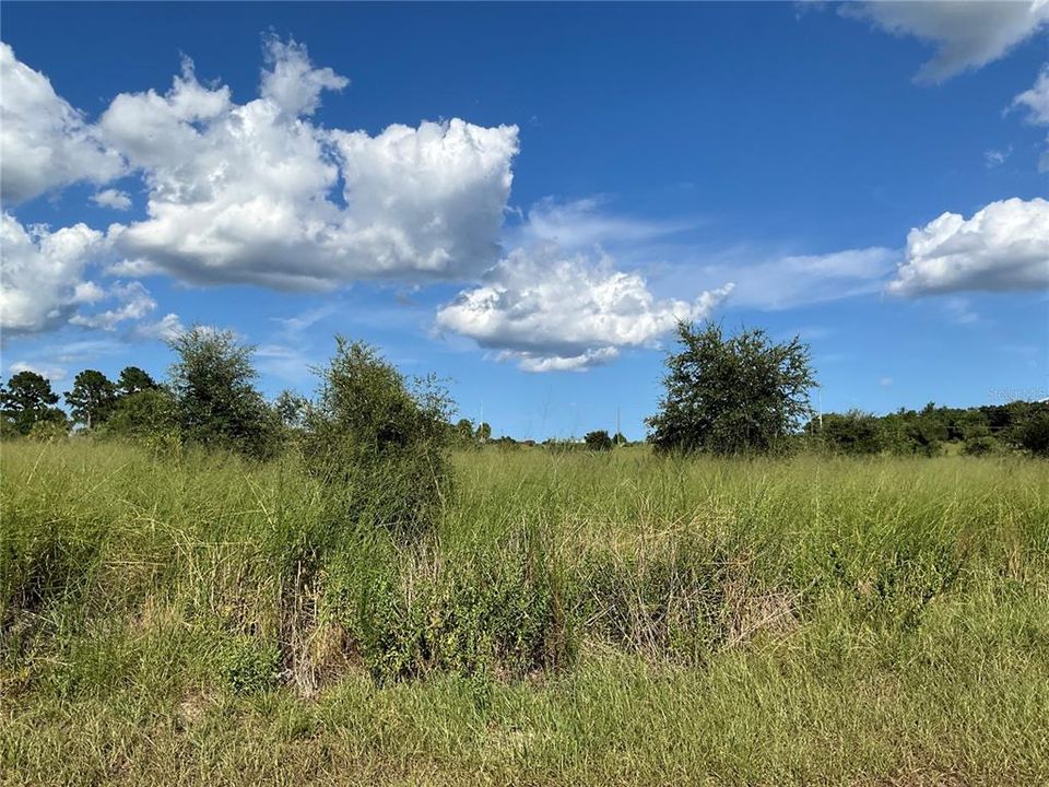 For Sale: $434,500 (14.48 acres)