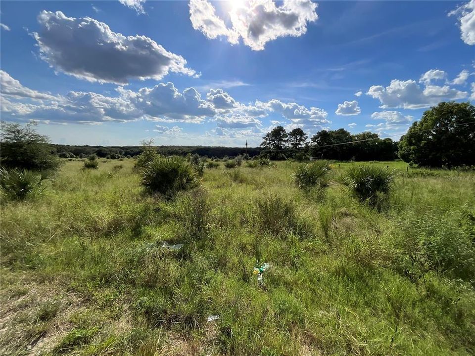 For Sale: $434,500 (14.48 acres)