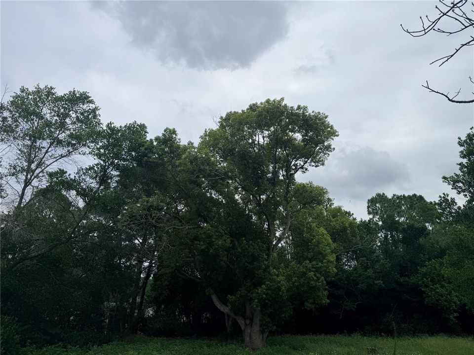 For Sale: $65,000 (0.23 acres)