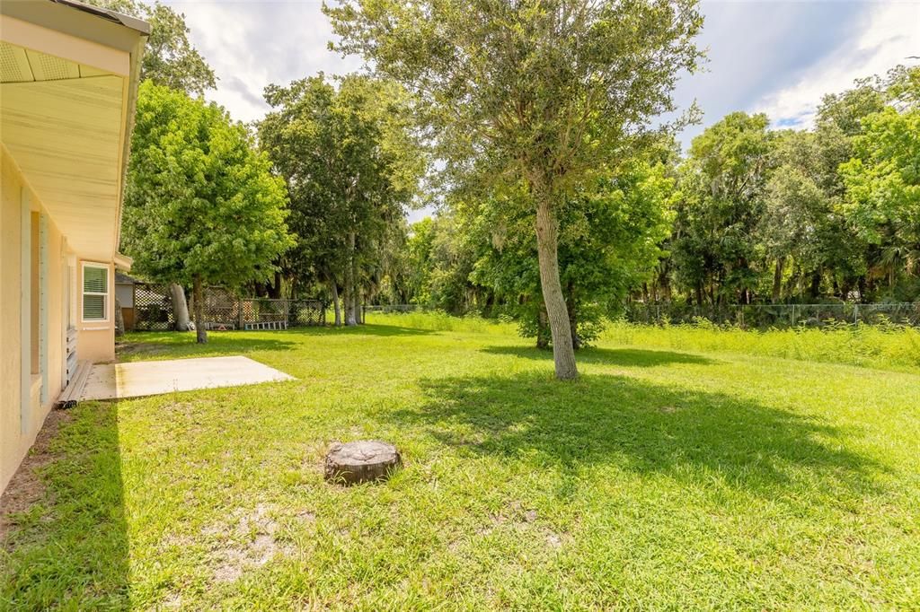 На продажу: $360,000 (3 спален, 2 ванн, 1806 Квадратных фут)