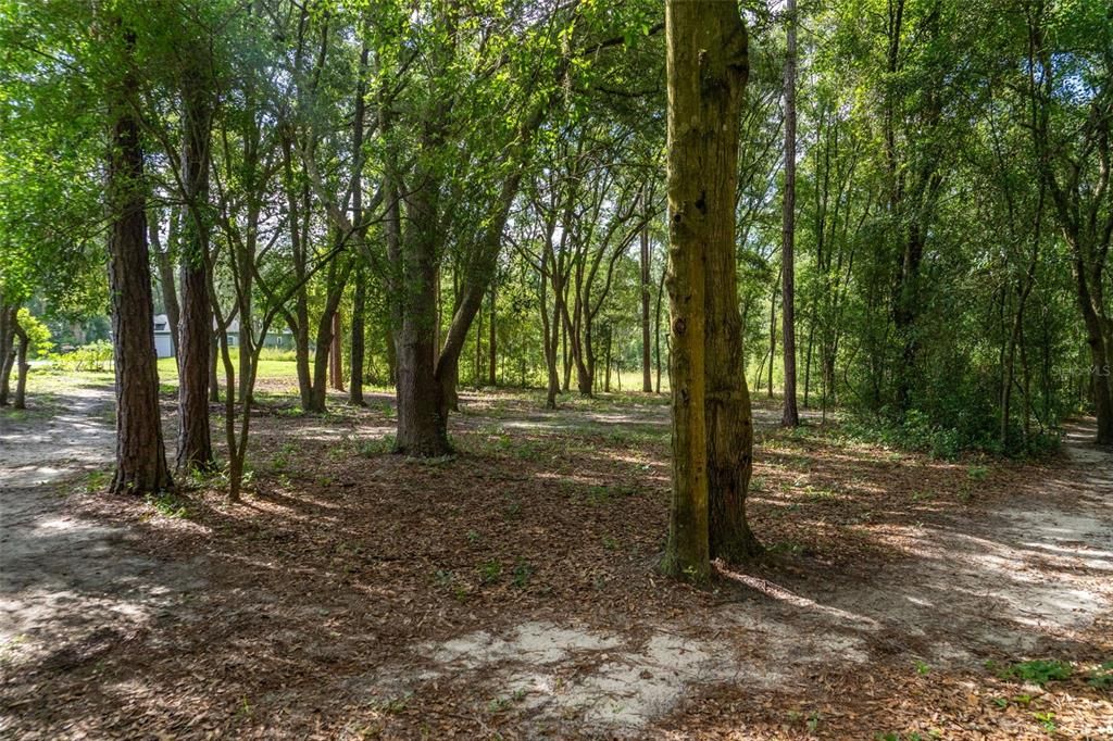 待售: $28,000 (0.50 acres)