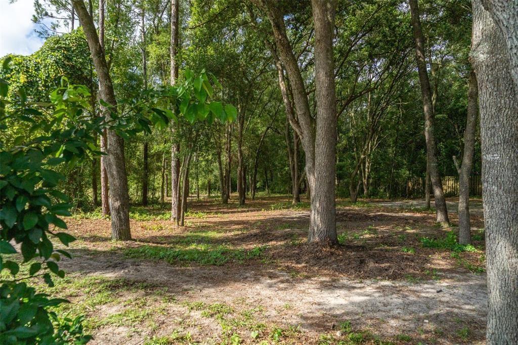 待售: $28,000 (0.50 acres)