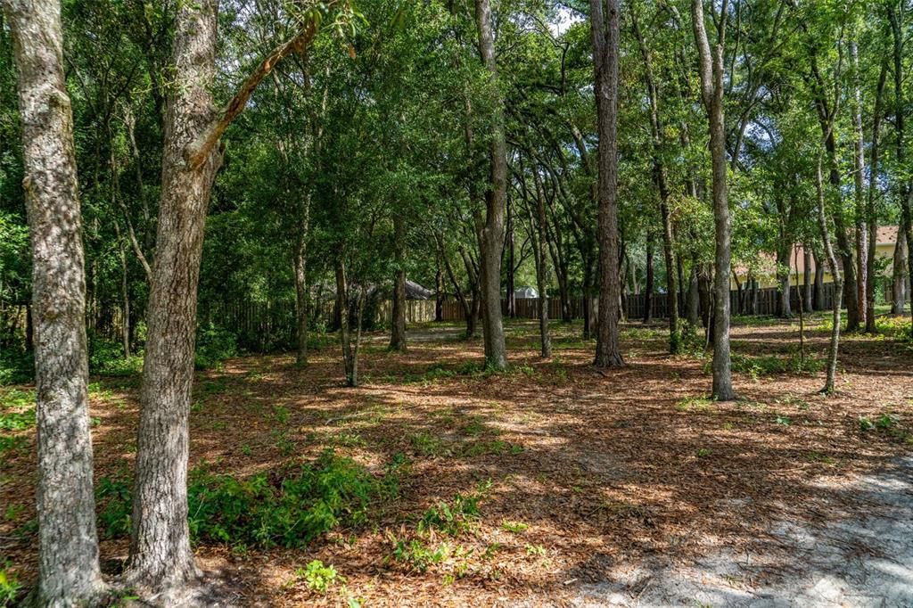 待售: $28,000 (0.50 acres)